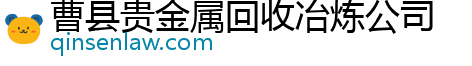 曹县贵金属回收冶炼公司